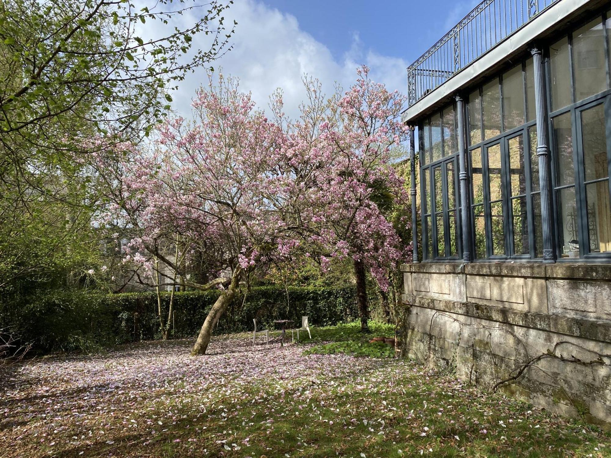 La Villa Beaupeyrat - Apparthotels De Charme Dans Batisse De Caractere A 400M Du Coeur De Ville De Limoges Room photo